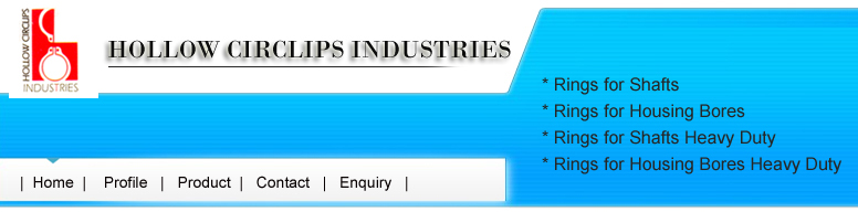 Circlips, E Clips, Spring Dowel Pins, Disc Washers, Wave Washers, Shim Washers, Submersible Pumps Snap Rings, Mumbai, India