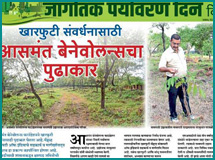 Tree Plantation