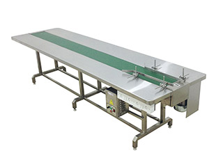 Packing Line Conveyor