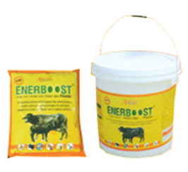 enerboost