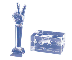 Crystal Trophies