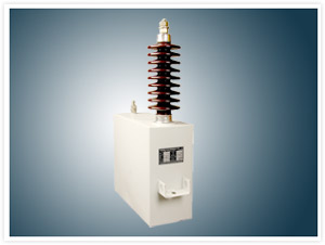 SURGE CAPACITOR